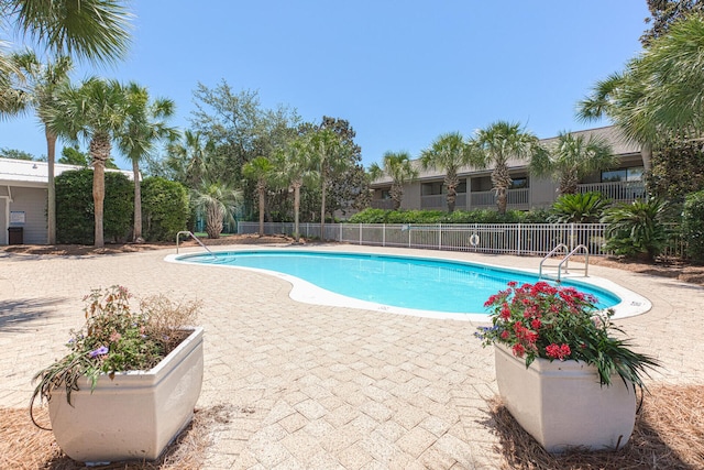 view of pool featuring a patio area