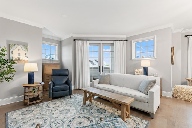 living room featuring light hardwood / wood-style floors and crown molding