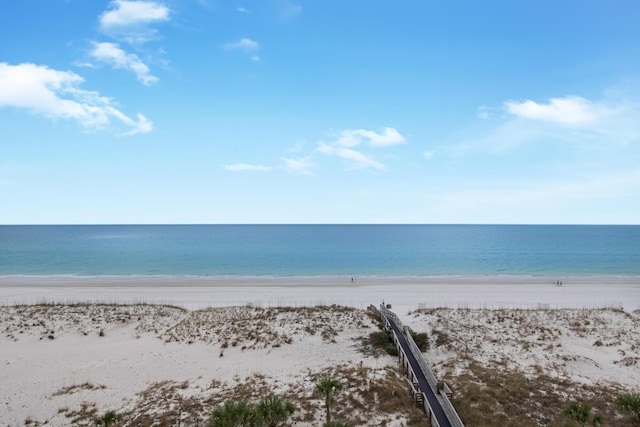 water view with a view of the beach