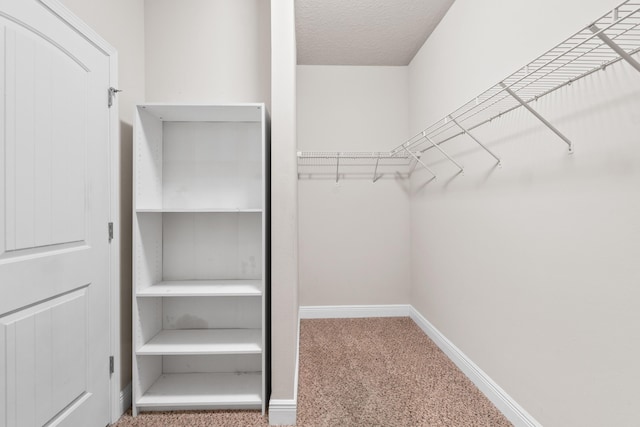 walk in closet featuring carpet