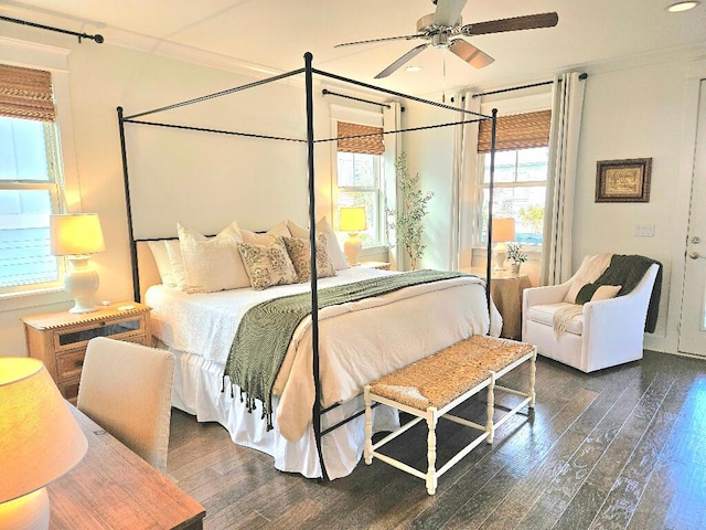 bedroom with crown molding, dark hardwood / wood-style floors, and ceiling fan