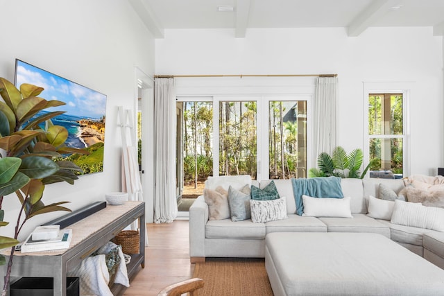 living room with light hardwood / wood-style floors, plenty of natural light, and beamed ceiling