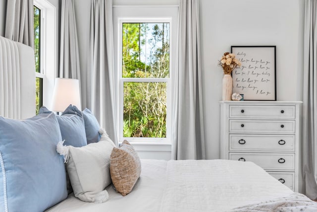 bedroom with multiple windows