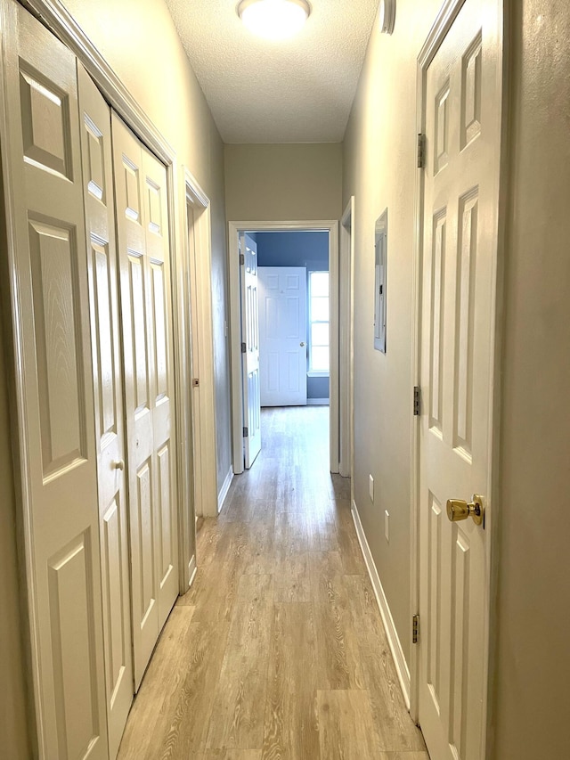 1501 N Partin Dr Unit 209, Niceville, FL 32578 - hallway featuring electric panel, light hardwood / wood-style flooring, and a textured ceiling