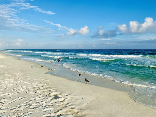 property view of water featuring a view of the beach