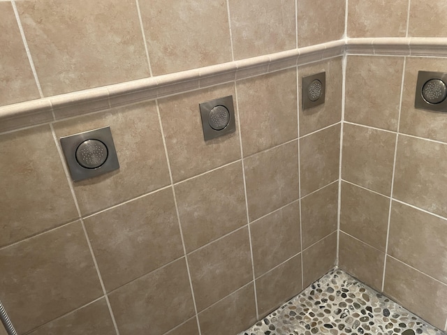 room details with a tile shower