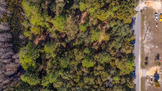 LOT38 Bass Haven Dr, Defuniak Springs, FL 32433