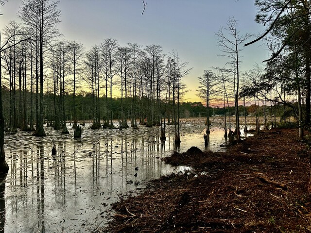 LOT38 Bass Haven Dr, Defuniak Springs, FL 32433