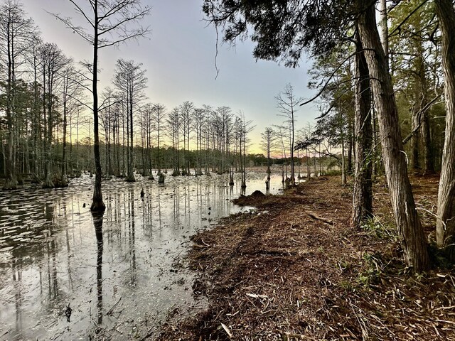 LOT38 Bass Haven Dr, Defuniak Springs, FL 32433