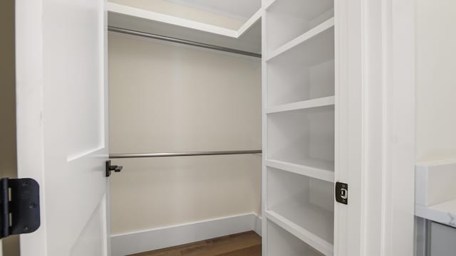 spacious closet featuring dark hardwood / wood-style floors