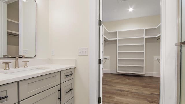 bathroom with hardwood / wood-style floors and vanity