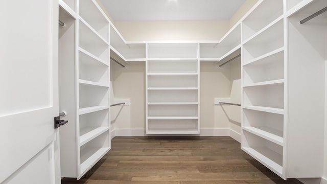 walk in closet with dark hardwood / wood-style flooring