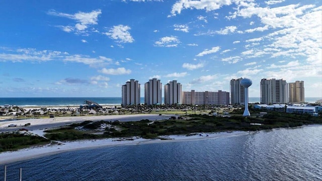 bird's eye view with a beach view and a water view