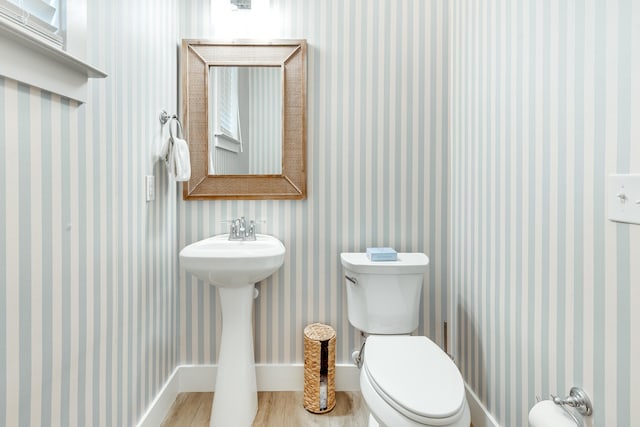 bathroom with hardwood / wood-style flooring, toilet, and sink