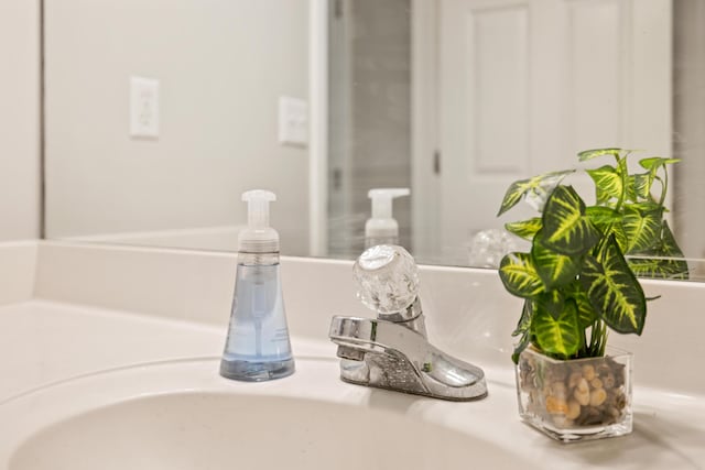 interior details featuring sink