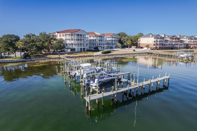 dock area with a water view