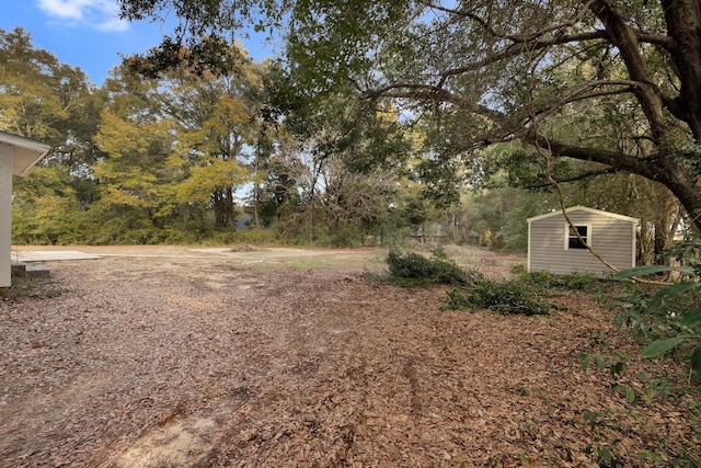 view of yard featuring a shed