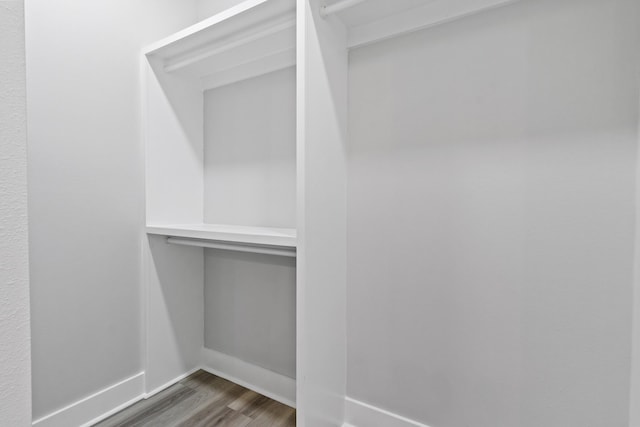 spacious closet with dark wood-type flooring