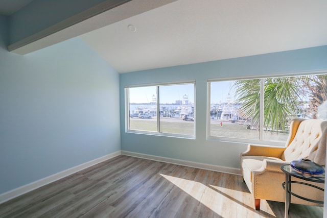 sitting room featuring wood-type flooring, vaulted ceiling, and a wealth of natural light