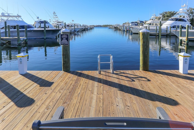 dock area with a water view