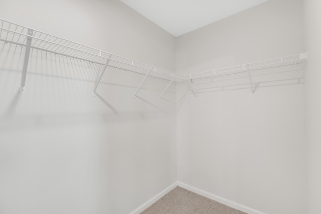 walk in closet featuring carpet