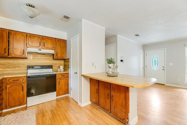 kitchen featuring white electric range oven, light hardwood / wood-style flooring, kitchen peninsula, decorative backsplash, and a breakfast bar