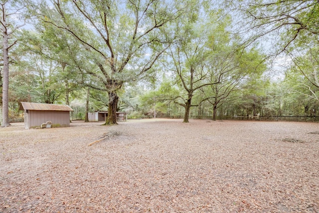 view of yard featuring a storage unit