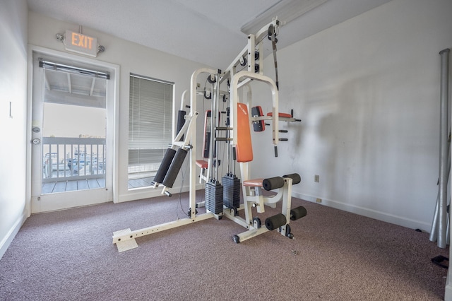 exercise room with carpet floors