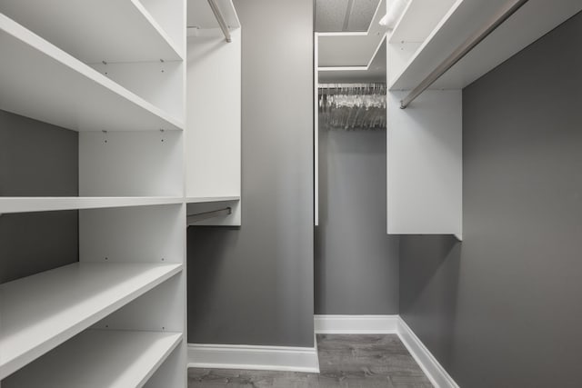 spacious closet with hardwood / wood-style flooring