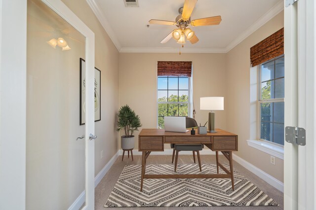 carpeted home office featuring ceiling fan and ornamental molding