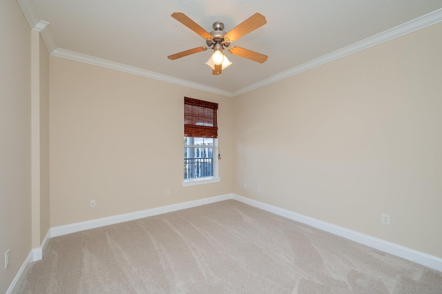 carpeted spare room with ceiling fan and ornamental molding