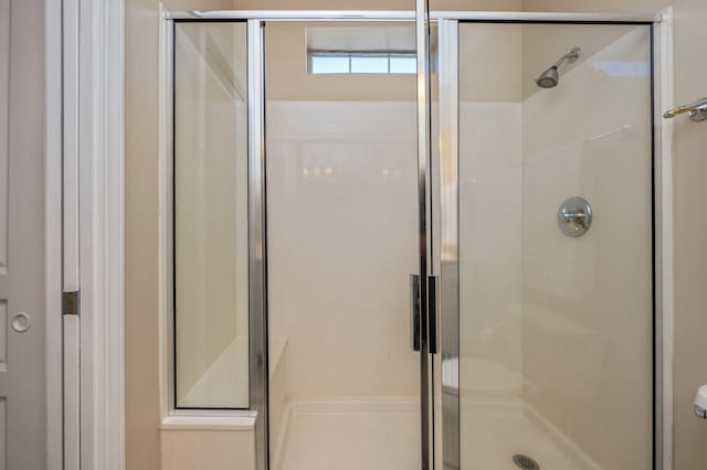 bathroom featuring a shower with shower door