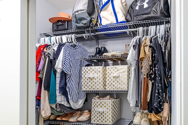 view of spacious closet