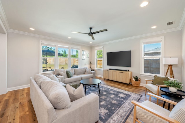 living room with hardwood / wood-style flooring, ceiling fan, and crown molding