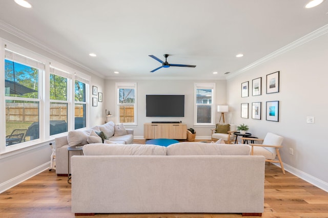 living room featuring ceiling fan, light wood-type flooring, and crown molding