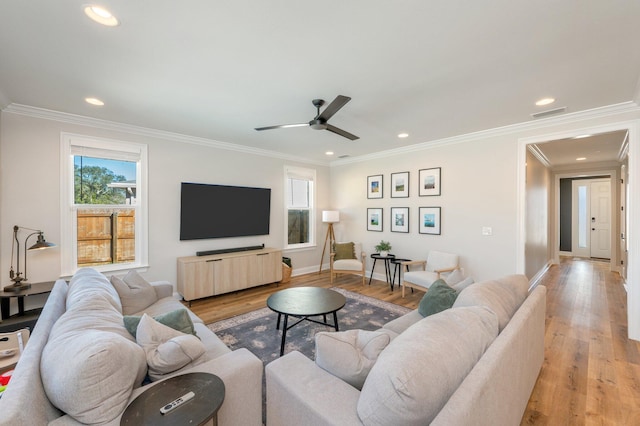 living room with ceiling fan, light hardwood / wood-style floors, and ornamental molding