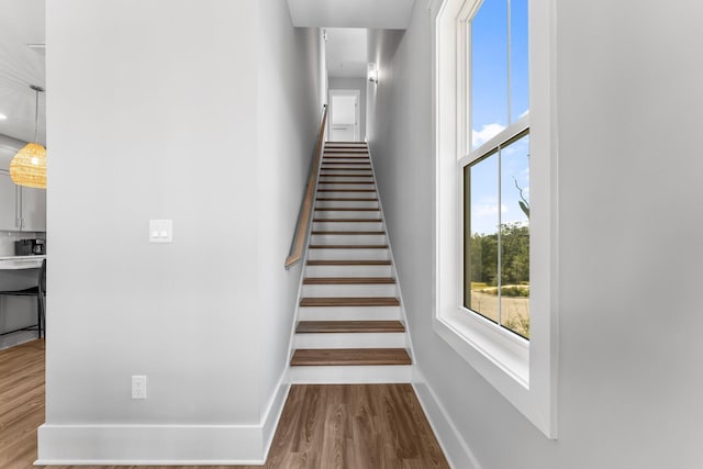 stairway with hardwood / wood-style flooring