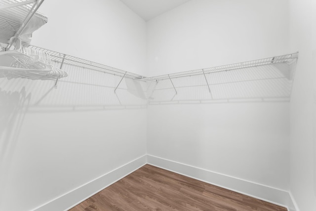 spacious closet featuring hardwood / wood-style floors