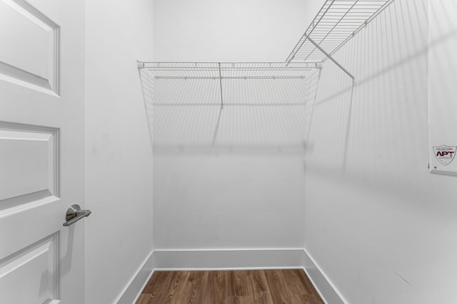 walk in closet featuring hardwood / wood-style flooring