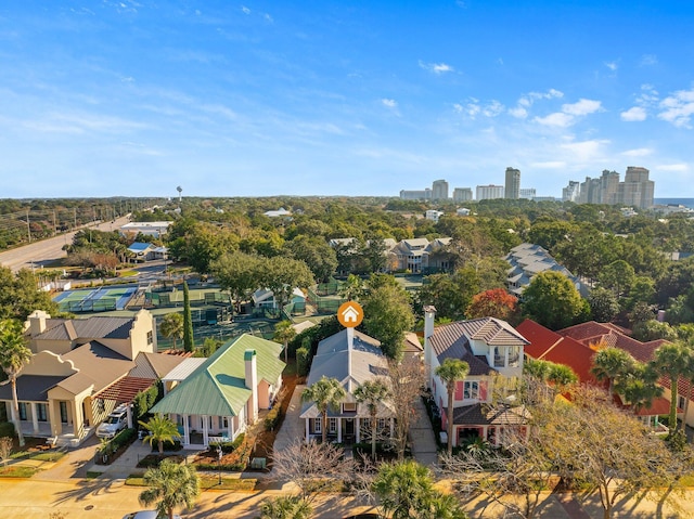 bird's eye view