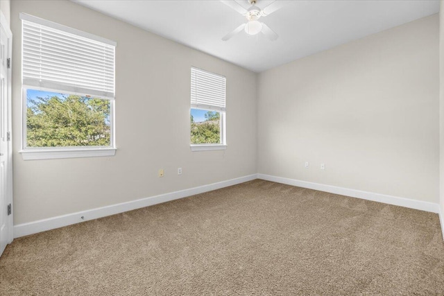 unfurnished room with ceiling fan and carpet floors