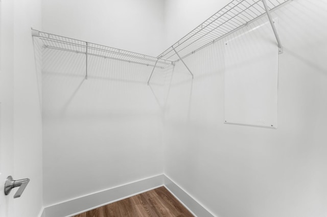 walk in closet featuring wood-type flooring