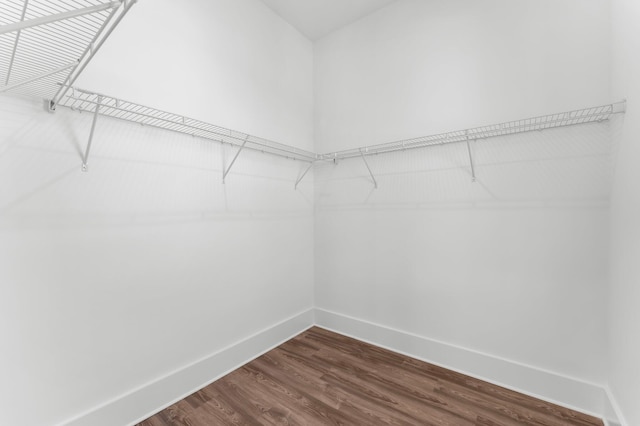 walk in closet with dark wood-type flooring