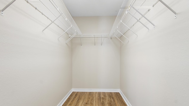 spacious closet featuring hardwood / wood-style floors