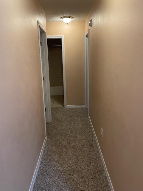 hall featuring carpet floors and a textured ceiling