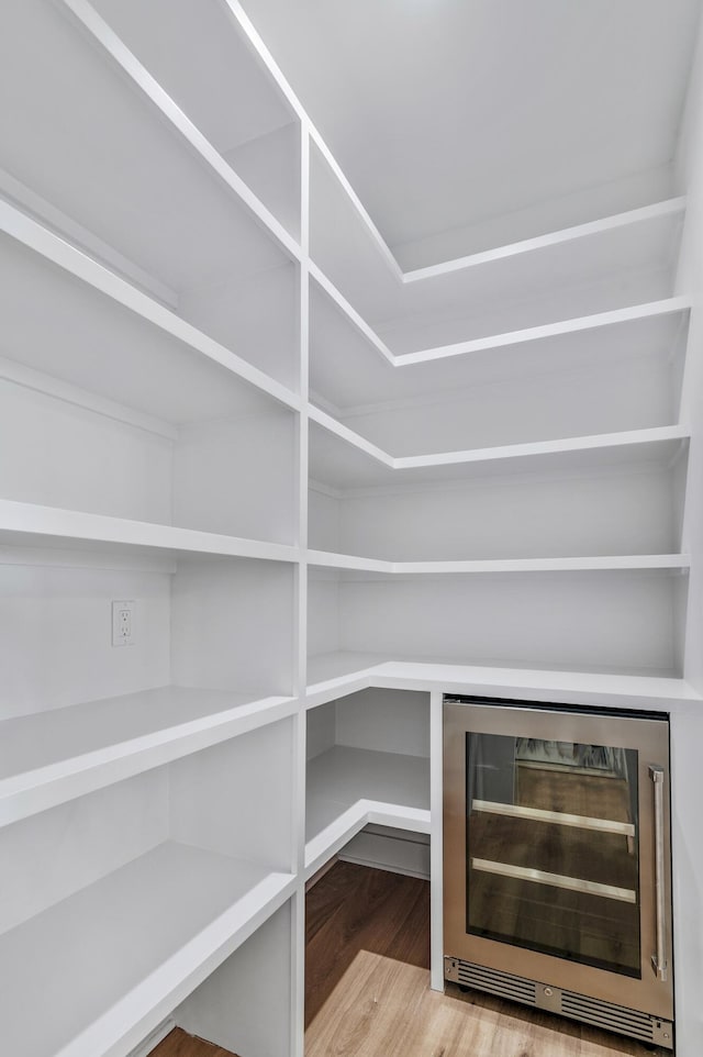 pantry with beverage cooler