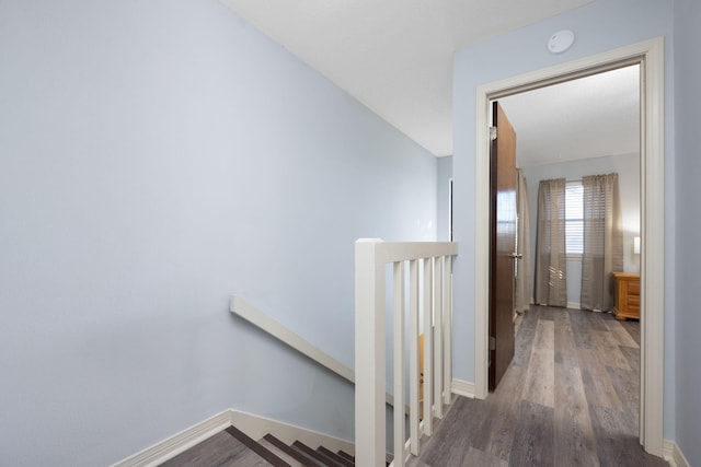 hall featuring wood-type flooring and vaulted ceiling