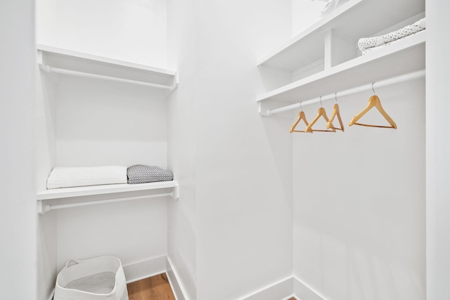 spacious closet featuring wood-type flooring