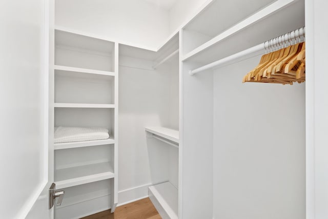 walk in closet featuring wood-type flooring