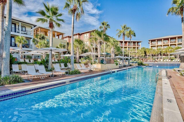 view of pool with a patio area